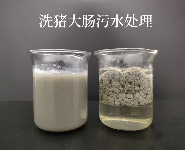 洗豬大腸污水小試對(duì)比